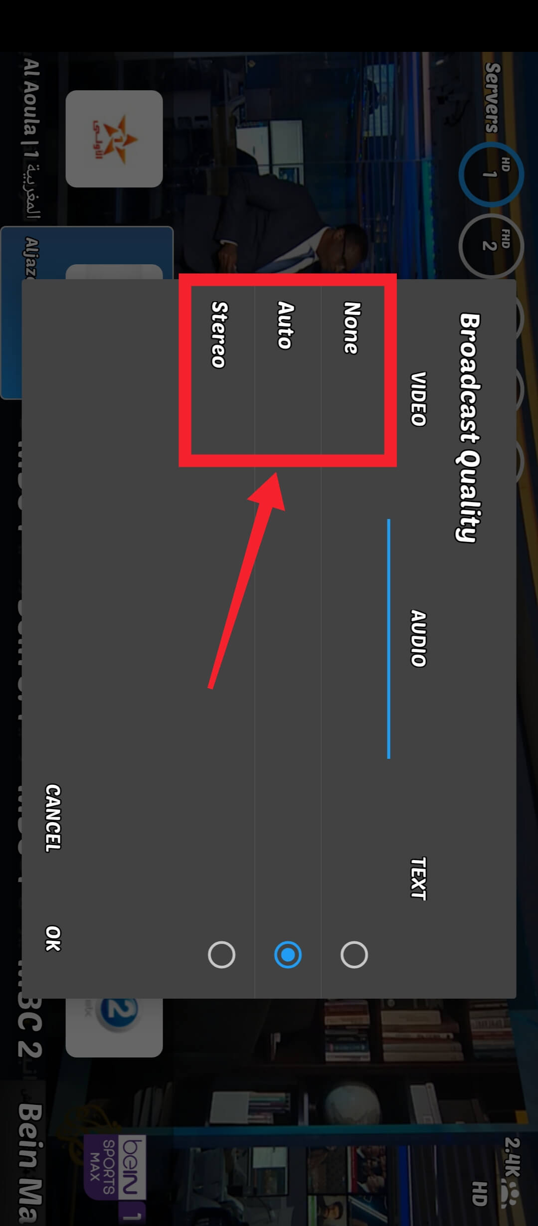 Audio Track Selection